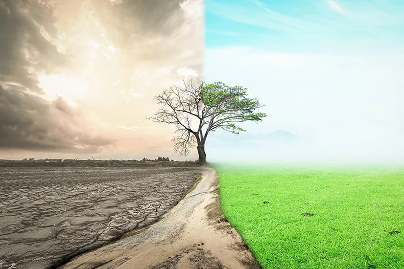 A landscape divided by a tree, with one side being dry, cracked earth and storm clouds, while the other side is lush grass and blue sky, symbolizing climate change and environmental contrast.